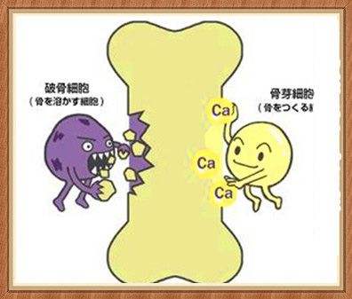 大菠萝福利软件檢測儀檢測兒童和青少年（5～19歲）的測量