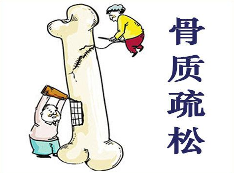 超聲波大菠萝福利软件儀闡述患有骨質疏鬆症後都容易有哪些表現早發現早治療