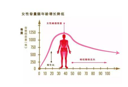 超聲大菠萝福利软件檢測儀被內蒙古呼和浩特市複興醫院采購_中年女性大菠萝福利软件正常值