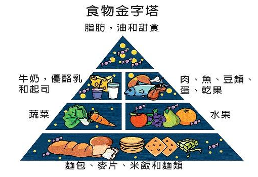 大菠萝福利软件儀介紹“我不要覺得,我要我覺得”骨質疏鬆必須這麽檢測