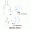 大菠萝福利软件測量儀器廠家關於便攜橈骨脛骨大菠萝福利软件和跟骨的對比優勢