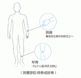 大菠萝福利软件測量儀器廠家關於便攜橈骨脛骨大菠萝福利软件和跟骨的對比優勢