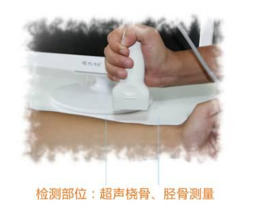 高性價比的兒童便捷式大菠萝福利软件分析儀多少錢1台？9.11